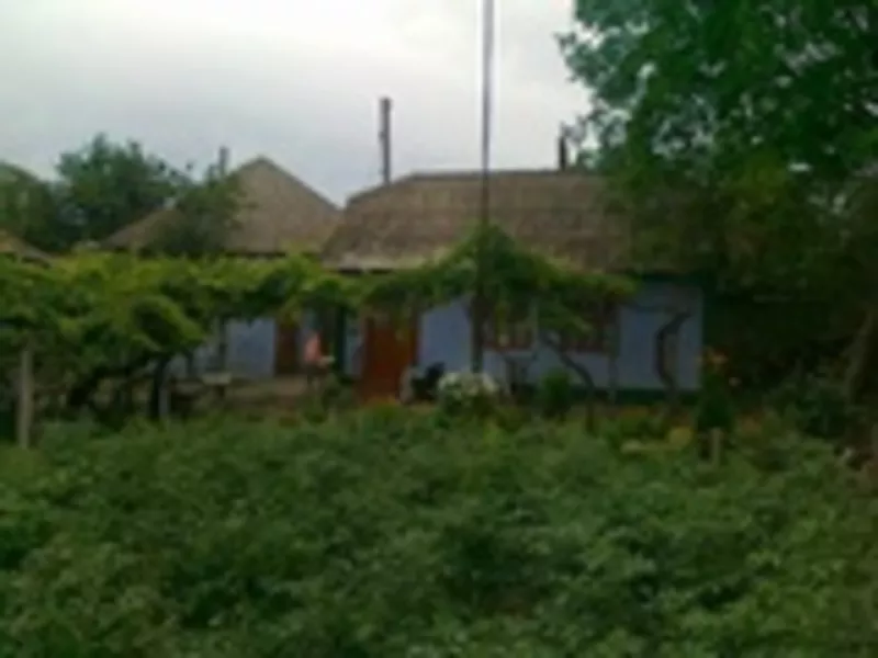 Casa de locuit in Molovata 3